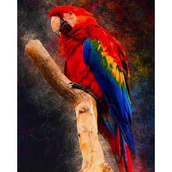 Loro guacamayo - Hola Hobby