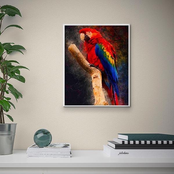 Loro guacamayo - Hola Hobby