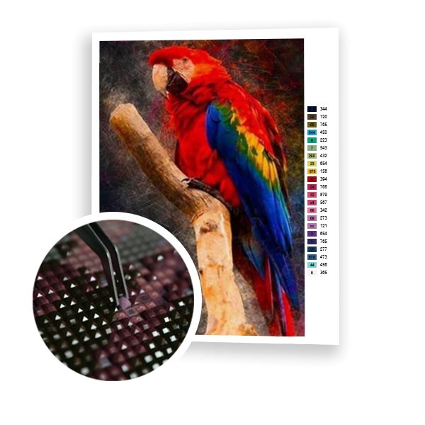 Loro guacamayo - Hola Hobby