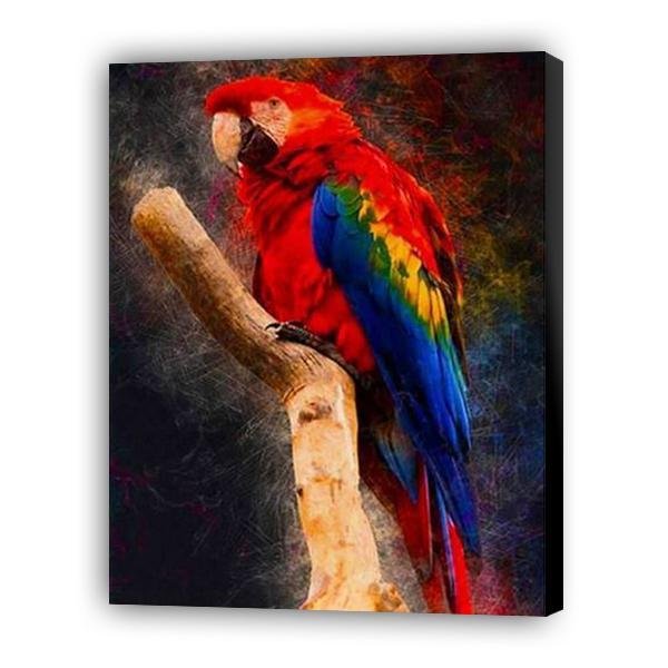 Loro guacamayo - Hola Hobby