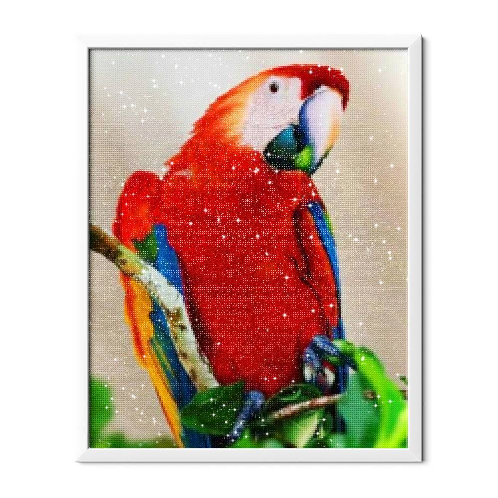 Loro rojo - Hola Hobby