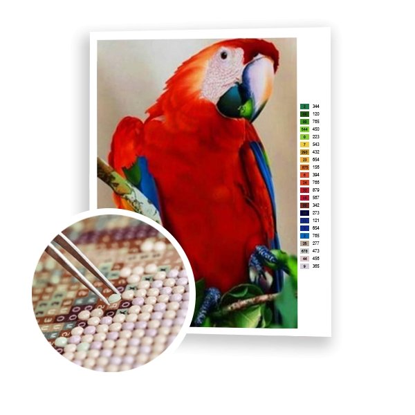 Loro rojo - Hola Hobby
