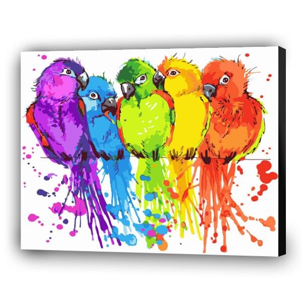 Loros brillantes - Hola Hobby