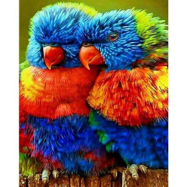 Loros pequeños - Hola Hobby