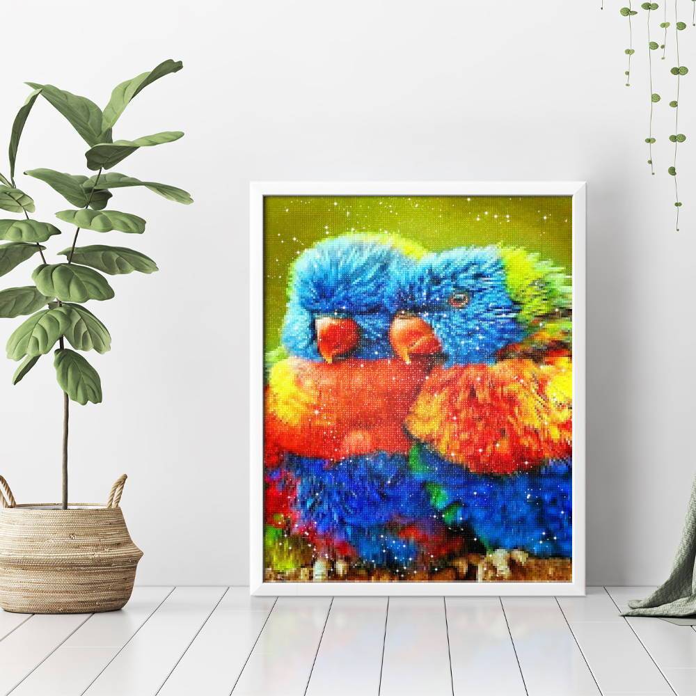 Loros pequeños - Hola Hobby