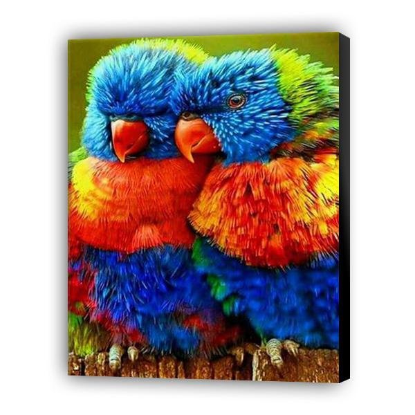Loros pequeños - Hola Hobby