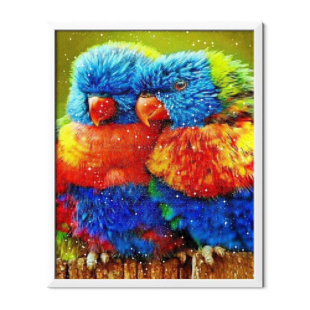 Loros pequeños - Hola Hobby