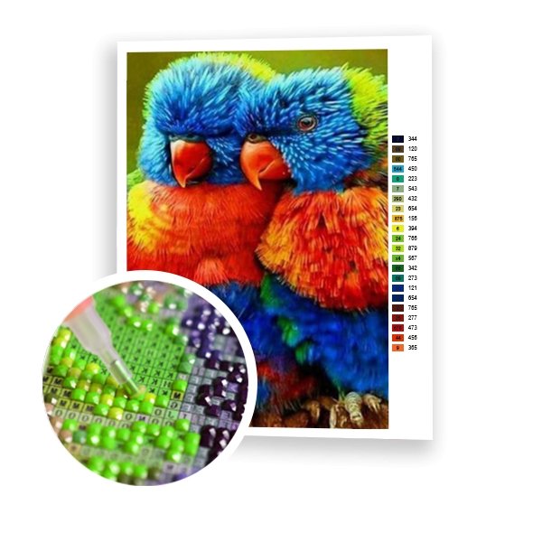 Loros pequeños - Hola Hobby