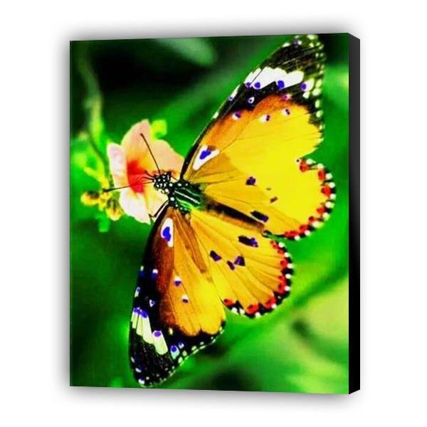 Mariposa amarilla - Hola Hobby