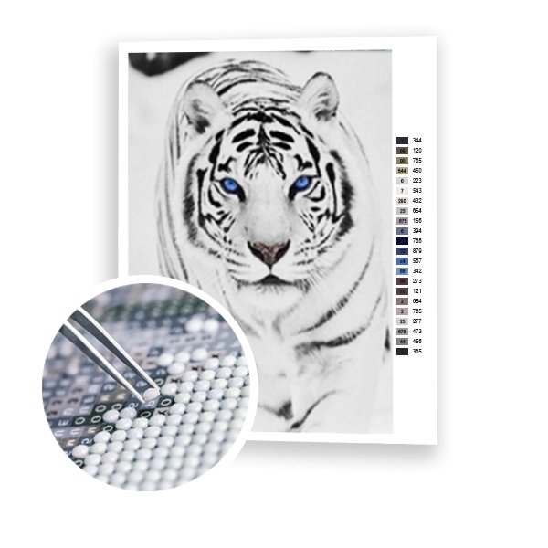 Mirada magnética - Hola Hobby