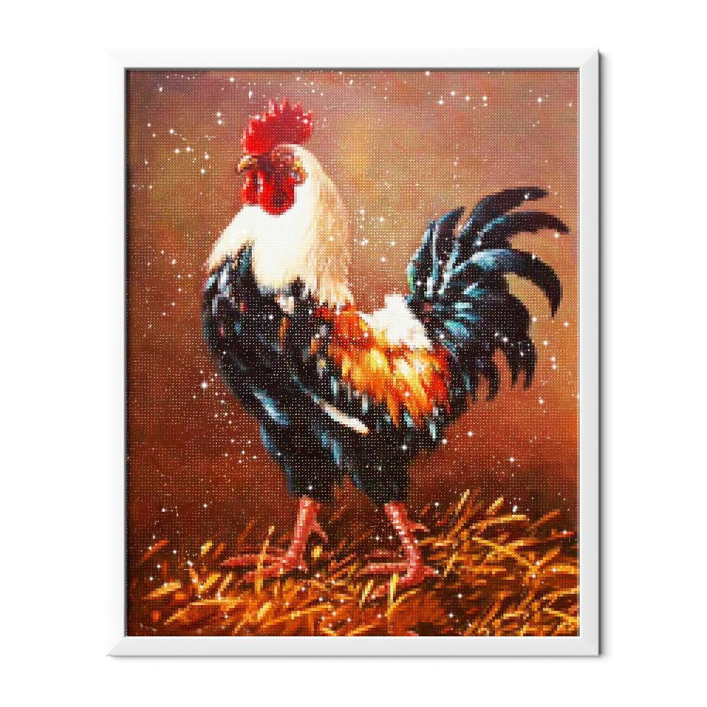 Orgulloso polla - Hola Hobby