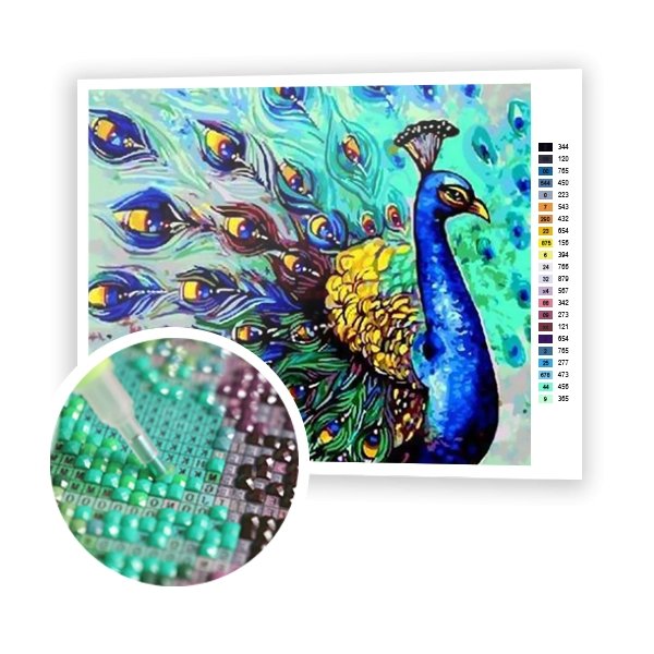 Pavo real - Hola Hobby