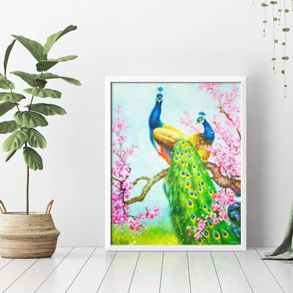 Pavo real agraciado - Hola Hobby