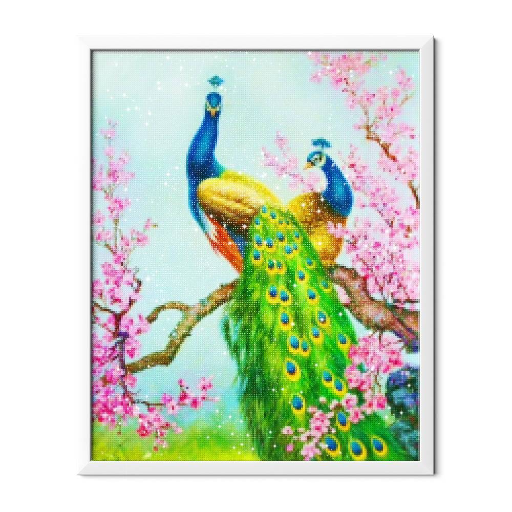 Pavo real agraciado - Hola Hobby