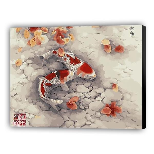 Peces rojos - Hola Hobby