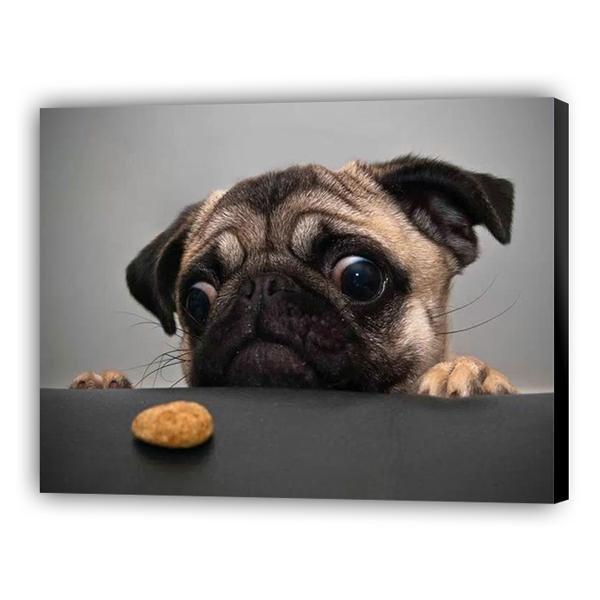 Perro con galletas - Hola Hobby