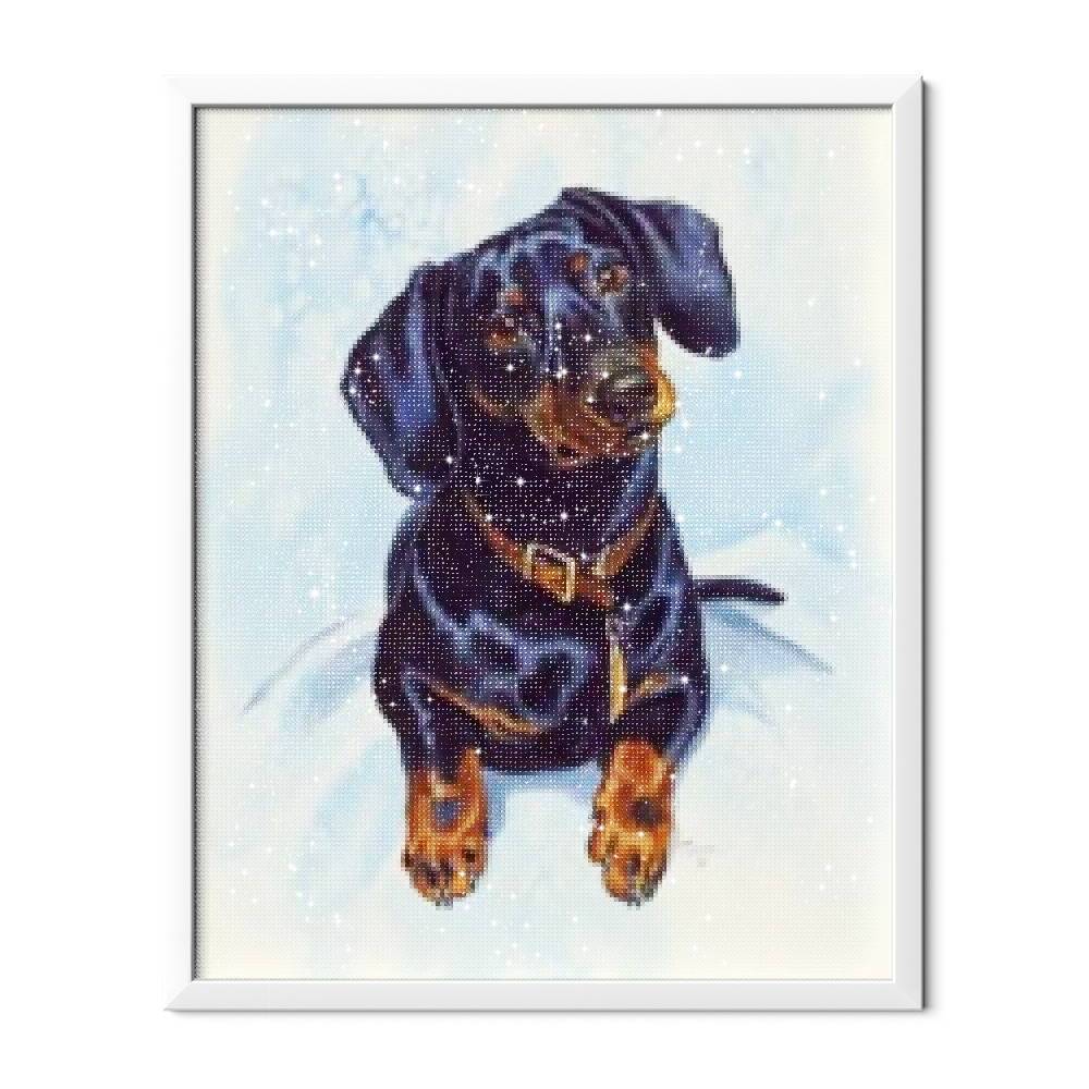 Perro tejonero - Hola Hobby