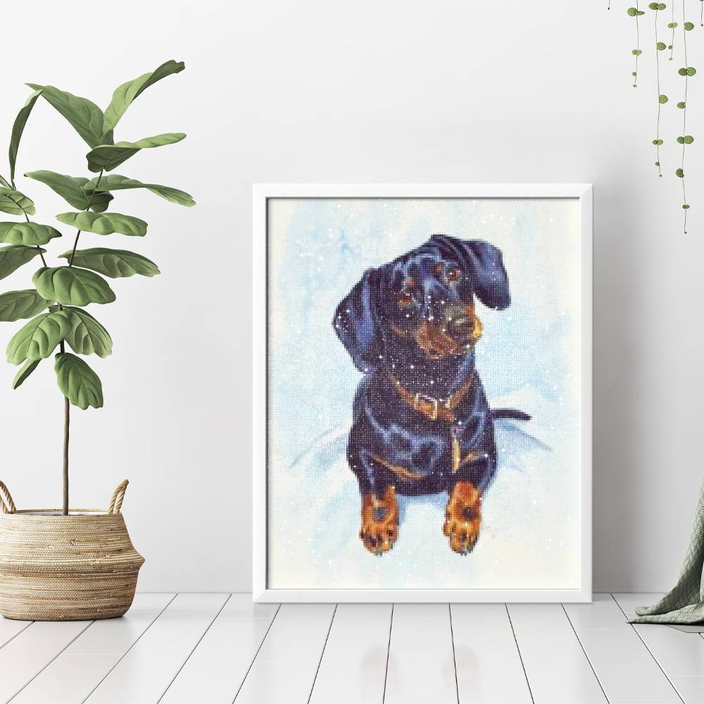 Perro tejonero - Hola Hobby