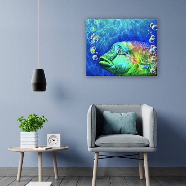 Pez payaso - Hola Hobby