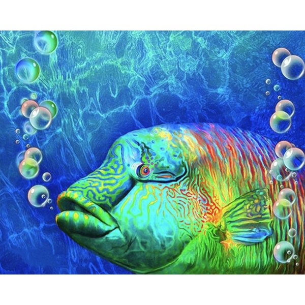 Pez payaso - Hola Hobby