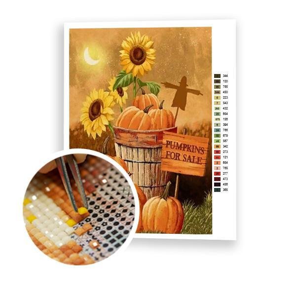 Tienda de Calabaza - Hola Hobby