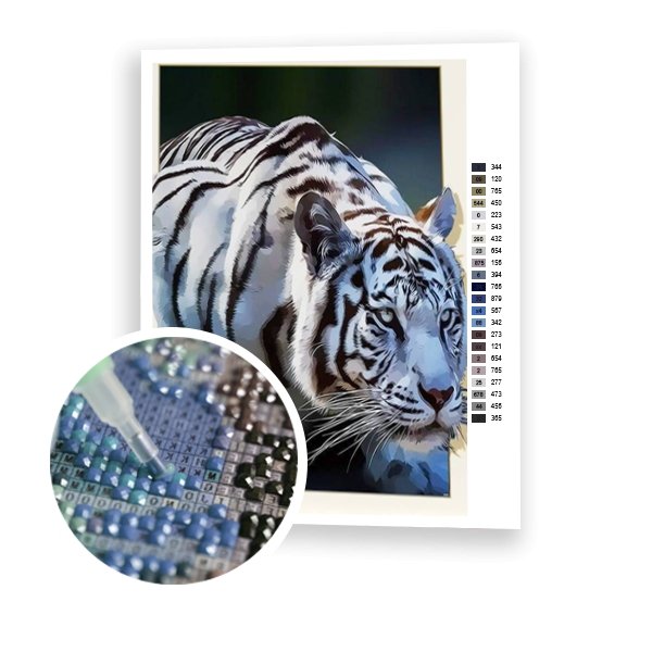 Tigre blanco - Hola Hobby