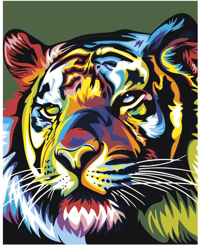Tigre multicolor (5457264967831)
