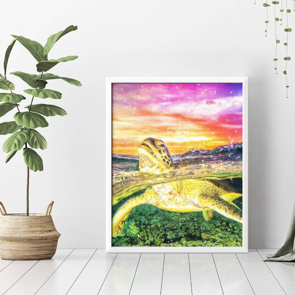 Tortuga - Hola Hobby