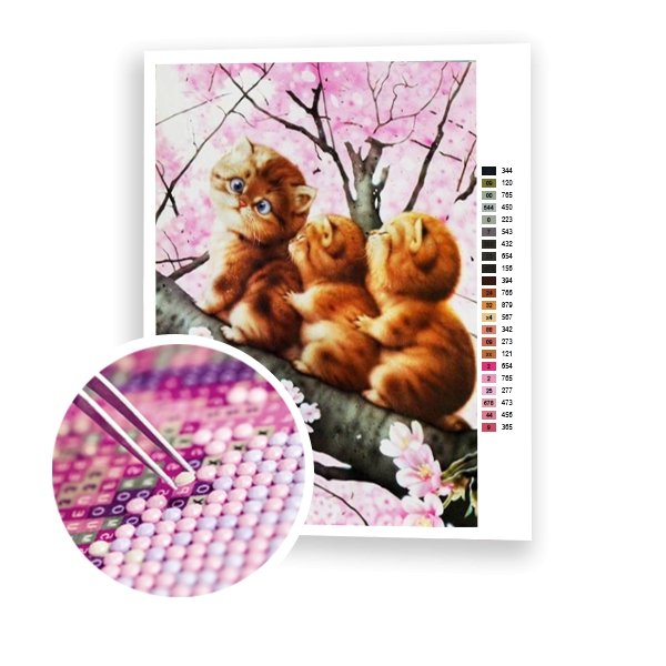 Tres gatos - Hola Hobby
