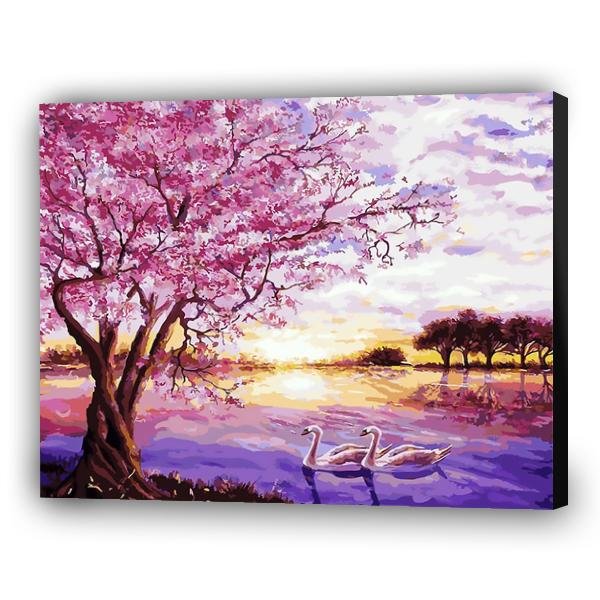 Vida de los cisnes - Hola Hobby