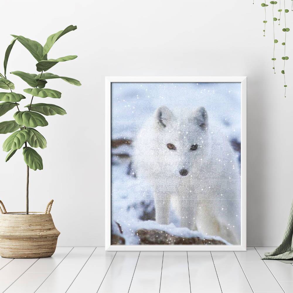 Zorro blanco - Hola Hobby