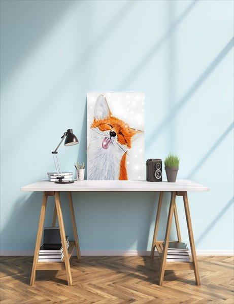 Zorro gracioso (5457210769559)