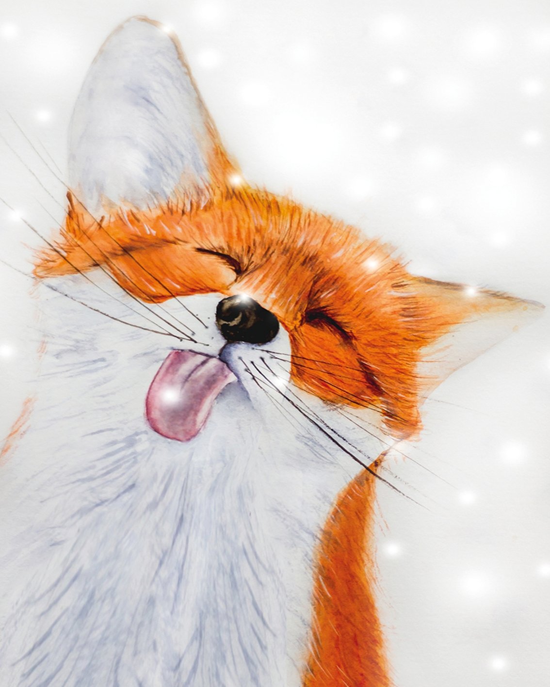 Zorro gracioso (5457210769559)