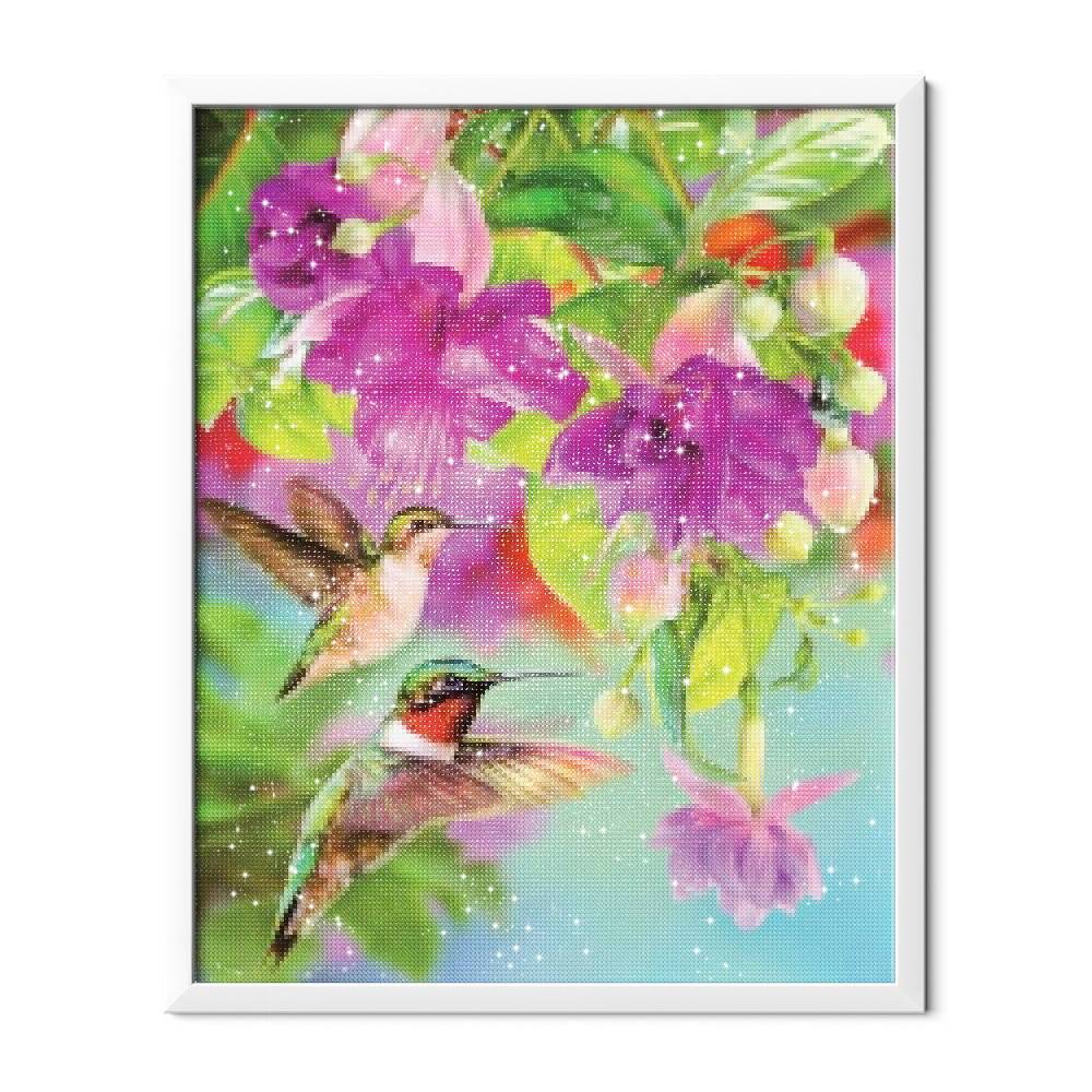 Dos colibríes - Hola Hobby