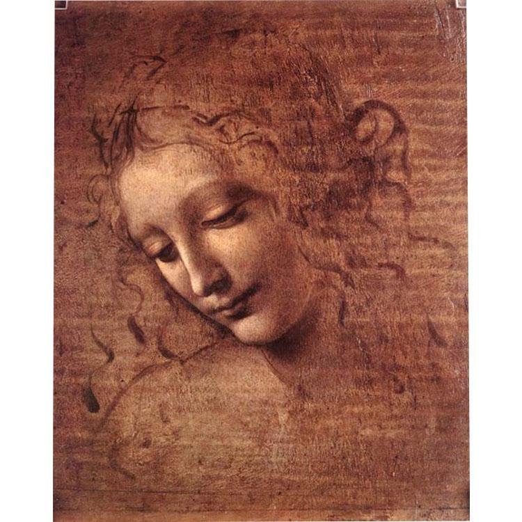 Leonardo da Vinci“ Kopf ” - Hola Hobby