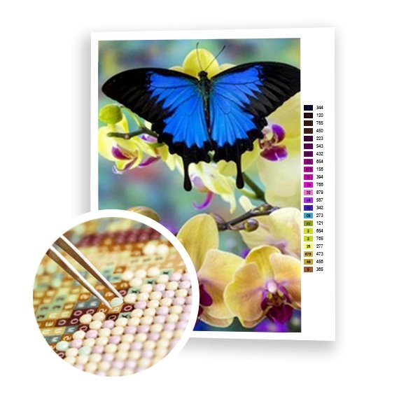 Mariposa y orquídea - Hola Hobby