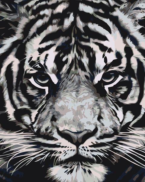 Tigre blanco - Hola Hobby (5457182097559)